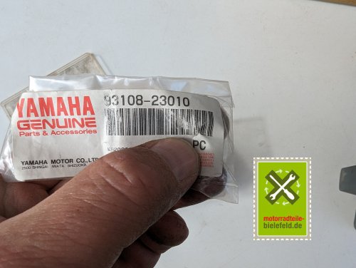 PXL_20240528_153953270